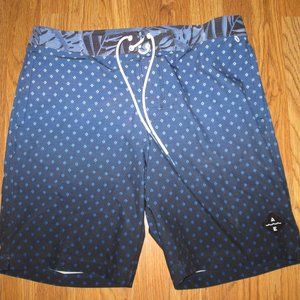 Mens AMERICAN EAGLE board shorts swim shorts sz L Lg NWOT boardshort